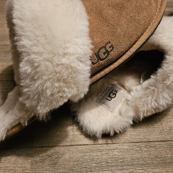 UGGS - Picture 3 of 8